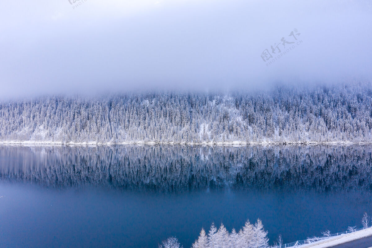 雪美麗的白雪覆蓋的樹木和霧天下平靜的湖泊的壯麗景色景觀天空寒冷