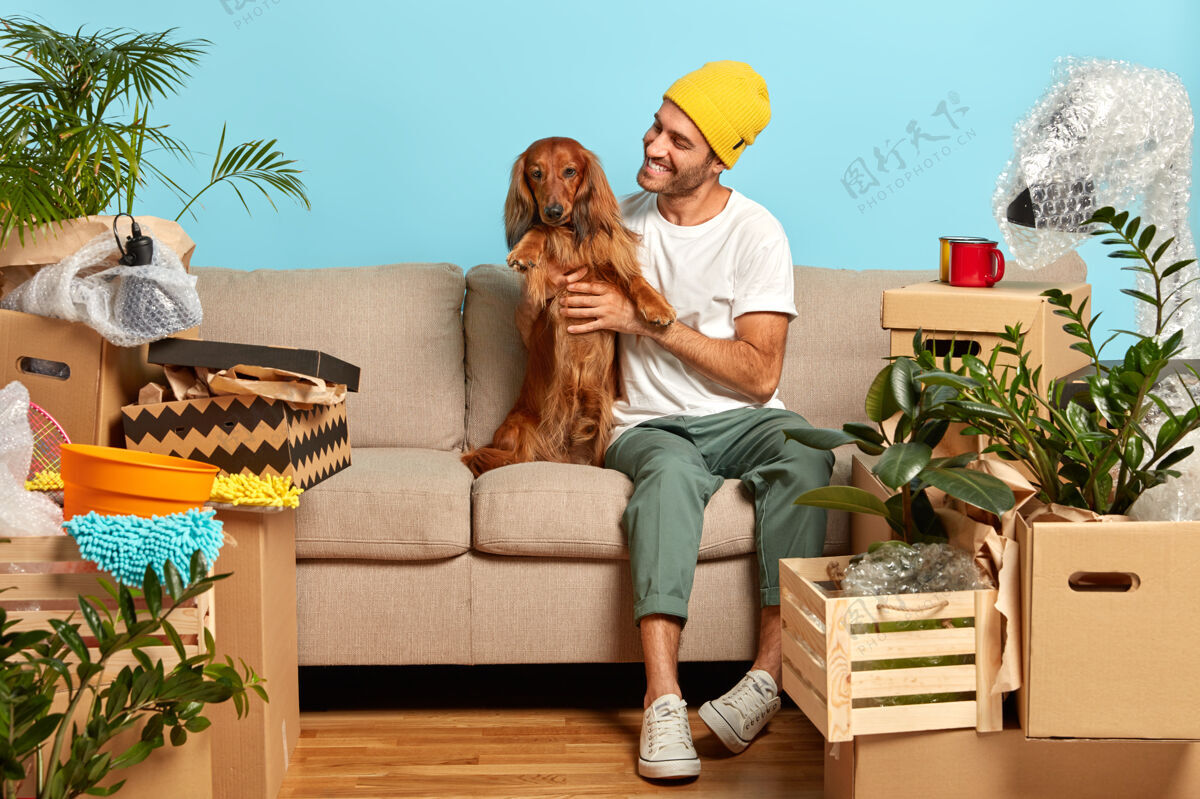 房子快乐男人宠物纯种狗 在沙发上摆姿势 搬到新房子里 到处都是打包的纸箱 高兴地买了一套现代公寓 入住后休息高加索关系拥抱