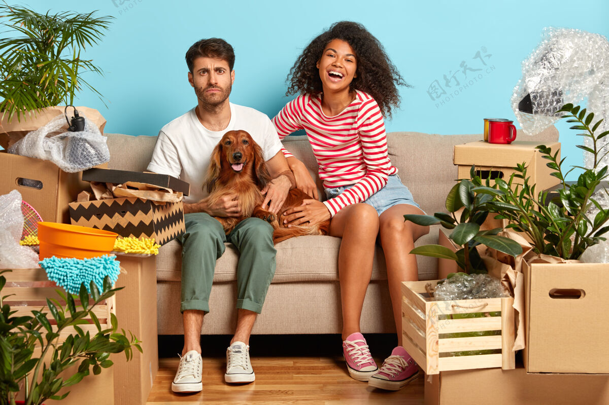 混合空间年轻多样的家庭夫妇玩狗 坐在沙发上在空房间里 许多个人用品周围 纸板包 租新的现代公寓 隔离在蓝色的墙壁上客厅运动鞋房子
