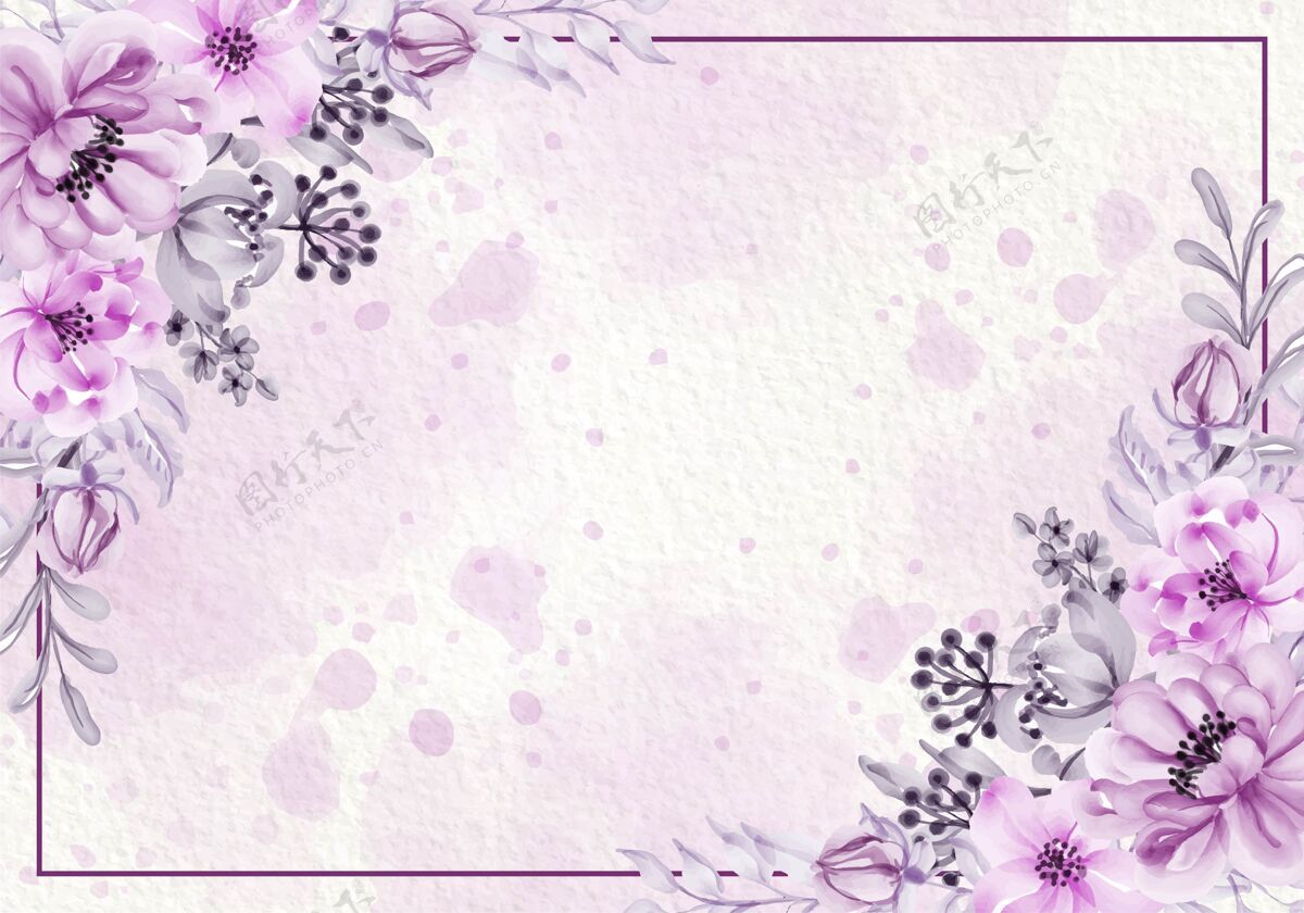 腮红植物粉紫色卡片与野生花卉 树叶 框架插图玫瑰颜色女性