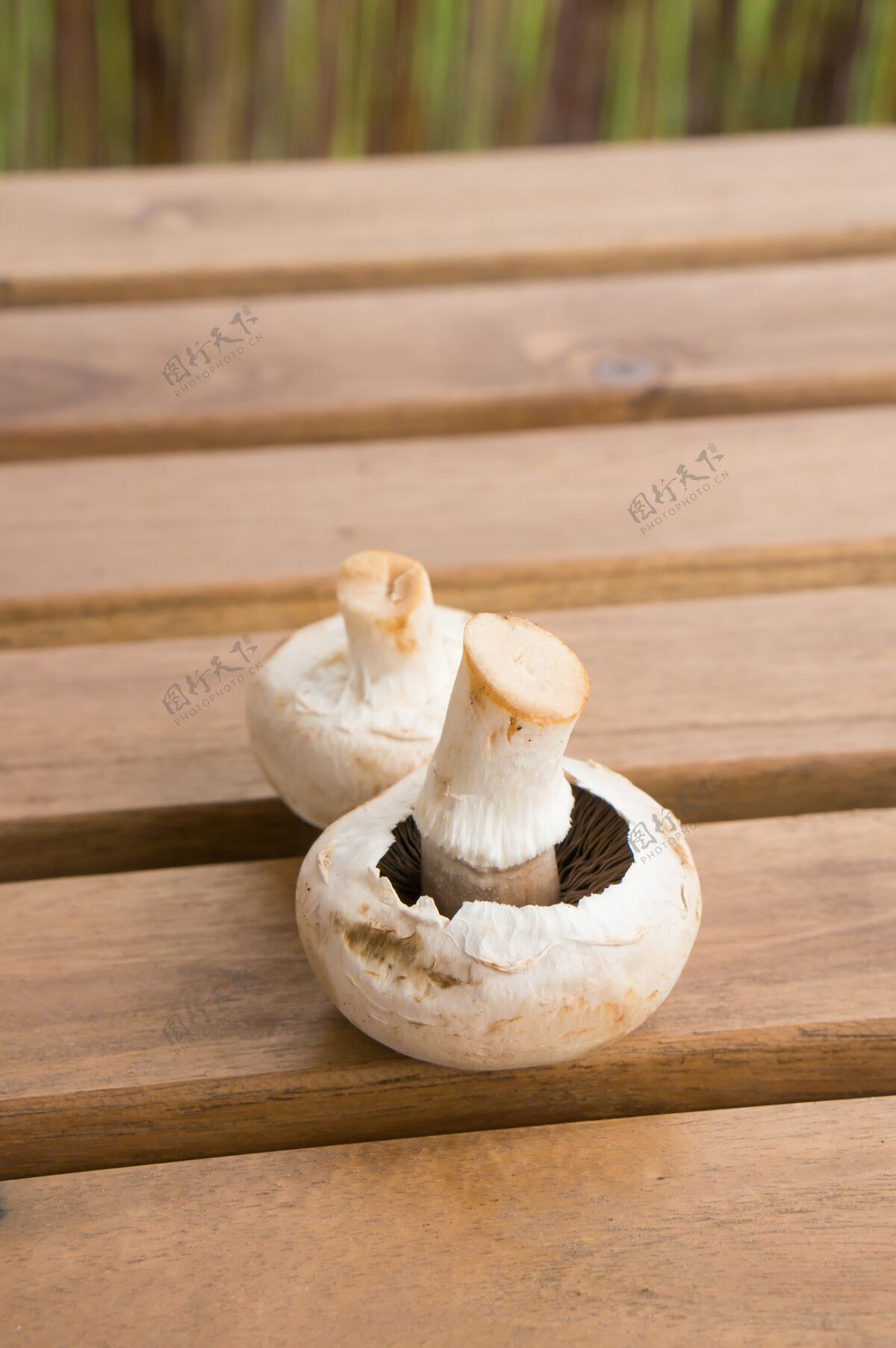 熟的两个新鲜蘑菇的垂直特写镜头放在木制桌面上美味肉生的