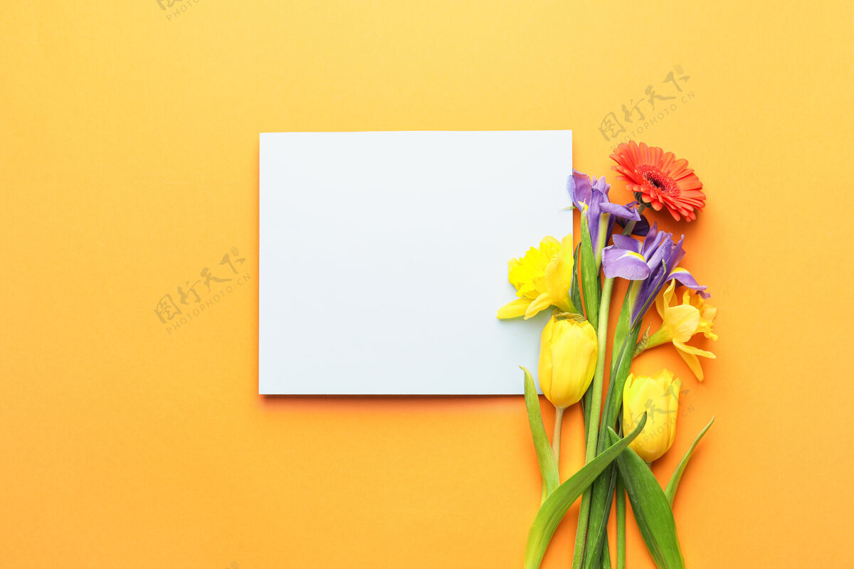 你好美丽的花和空白卡片上的颜色开花开花庆祝