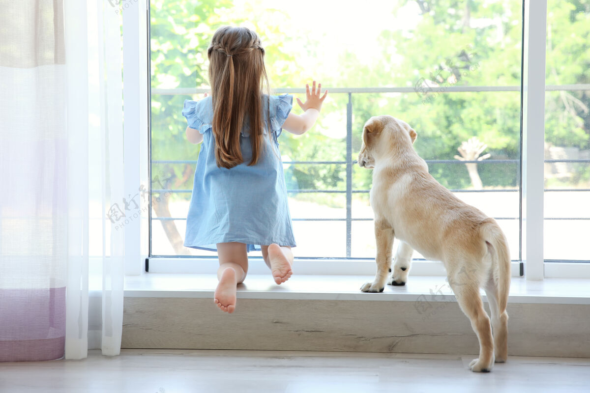孩子可爱的孩子和拉布拉多猎犬在窗台上在家一起毛皮窗户
