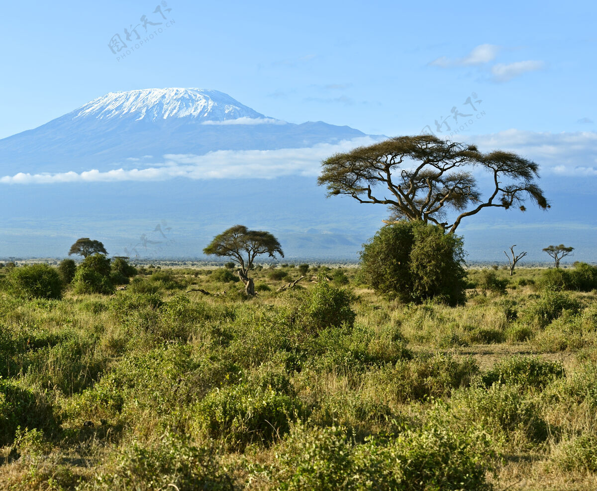 景观安博塞利国家公园和肯尼亚乞力马扎罗山岩石自然非洲景观