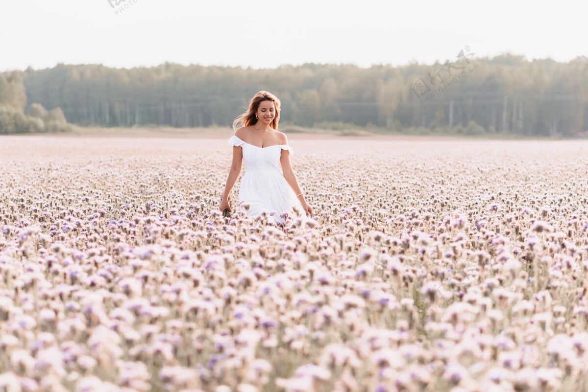 春天美丽快乐的女人 穿着白色的连衣裙 在一片夏日的花丛中 在大自然中绽放浪漫白天