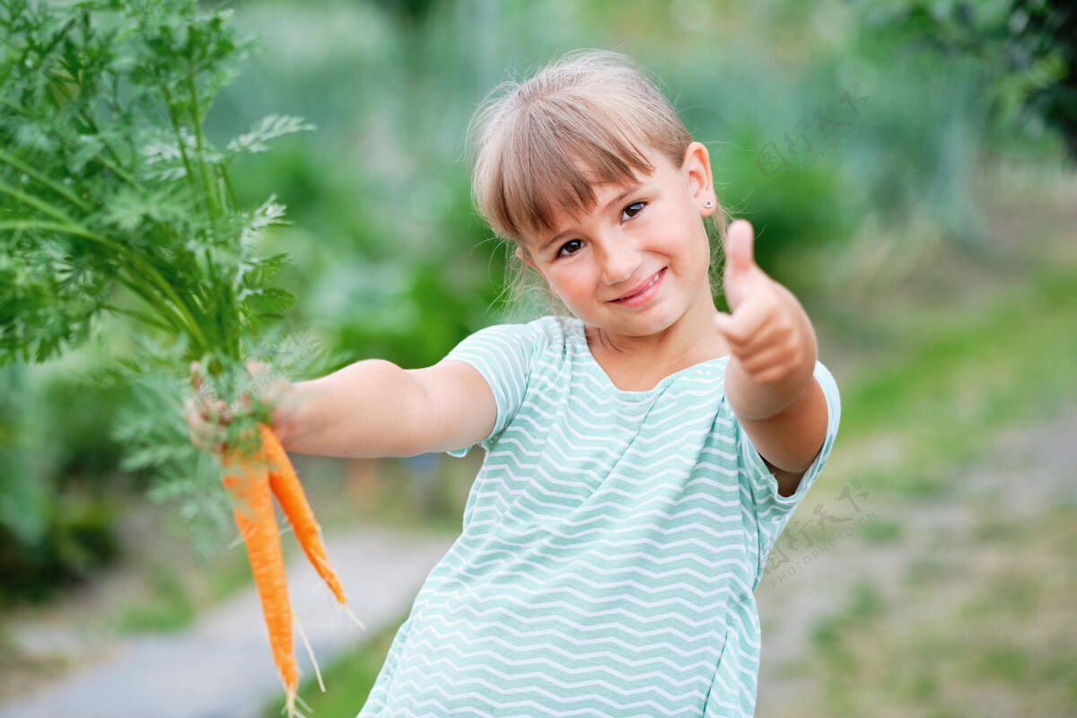 篮子小女孩在厨房里摘胡萝卜花园.秋天蔬菜收获西葫芦孩子生物