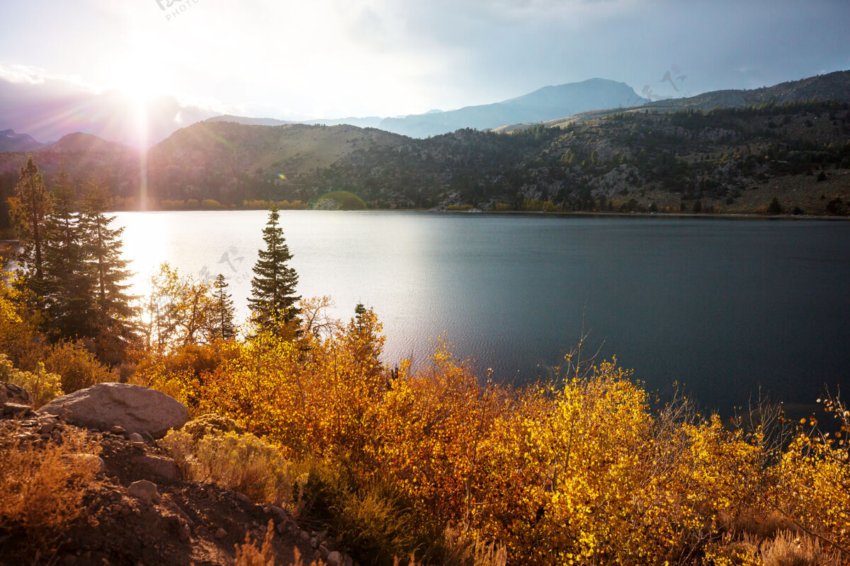 美丽的自然秋天美丽的湖泊美国水美国