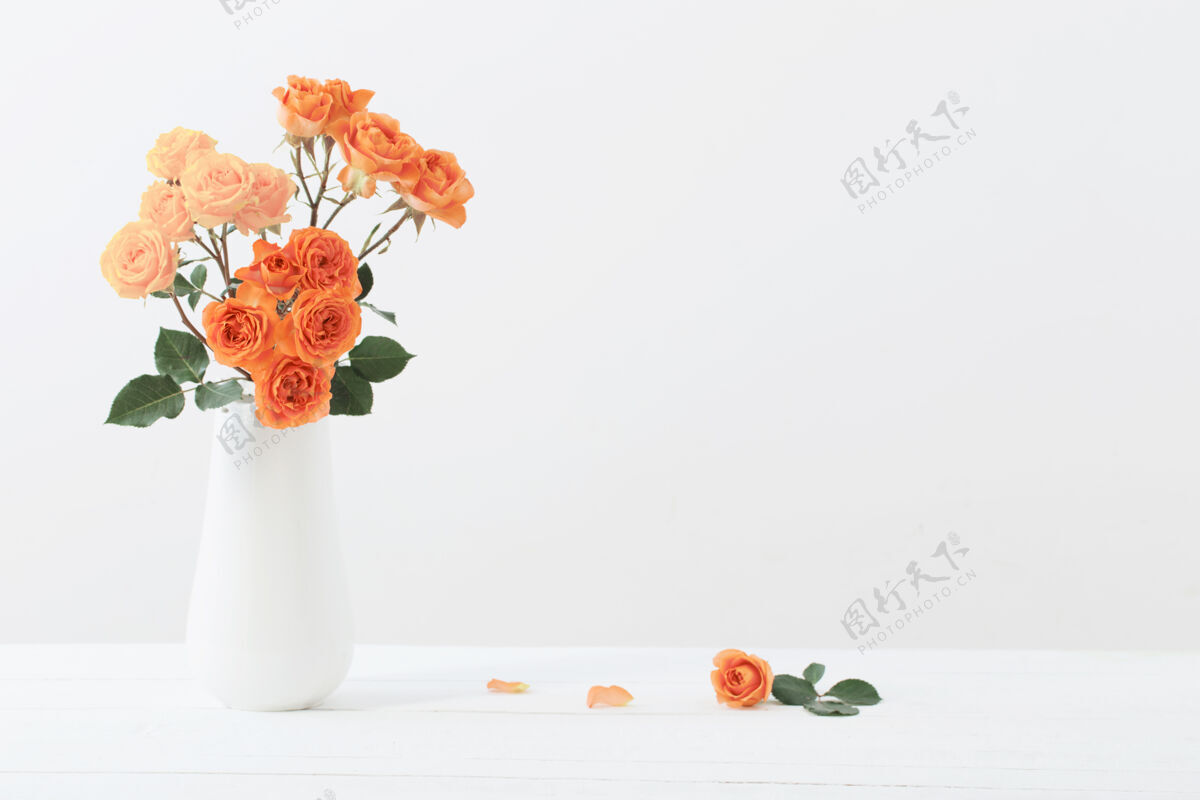 束白底白花瓶里的玫瑰庆祝复制空间开花