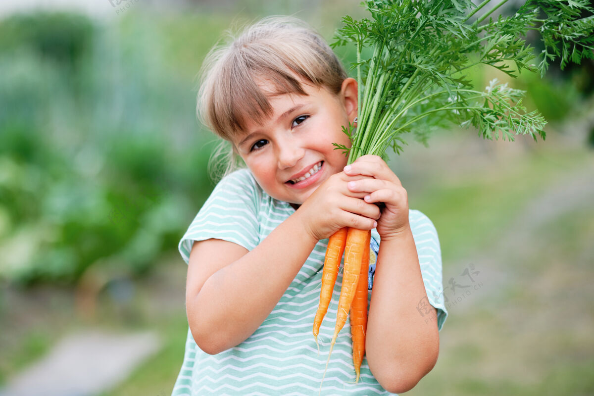 植物小女孩在厨房里摘胡萝卜花园.秋天蔬菜收获生物有机胡萝卜