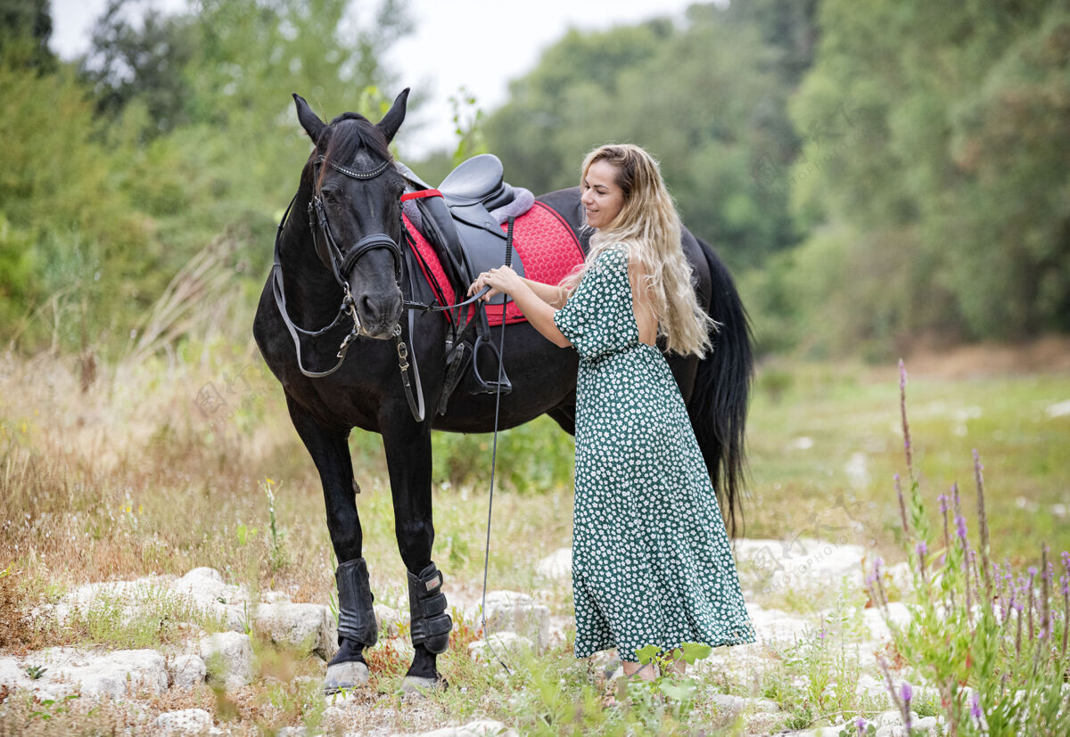 运动骑马的姑娘正骑着她的黑马走呢训练活动动物