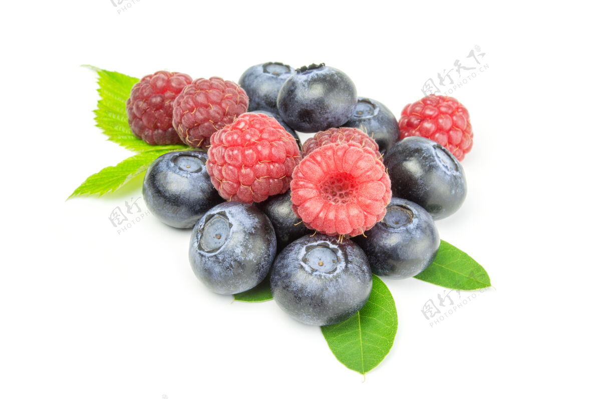 覆盆子蓝莓和覆盆子分离黑莓食物蓝莓