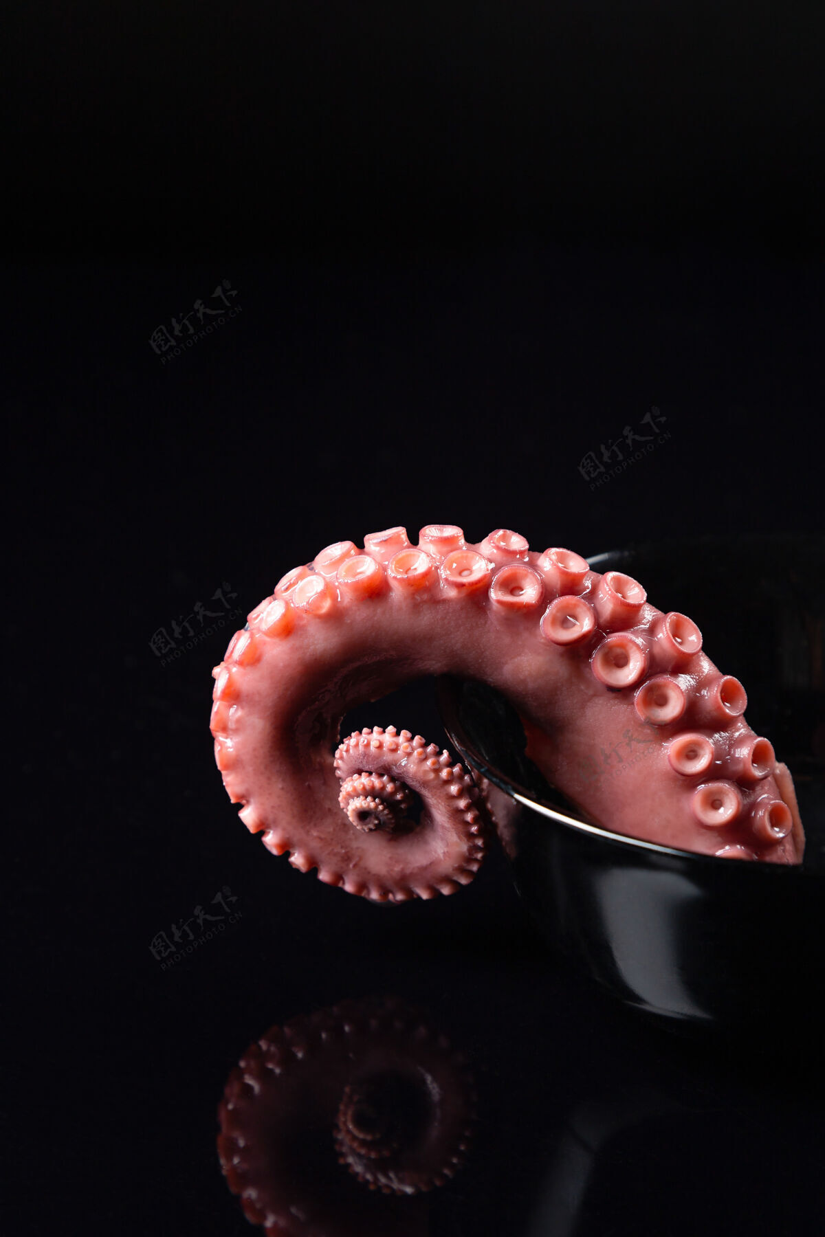 地中海黑底炖章鱼触角食物西班牙食品