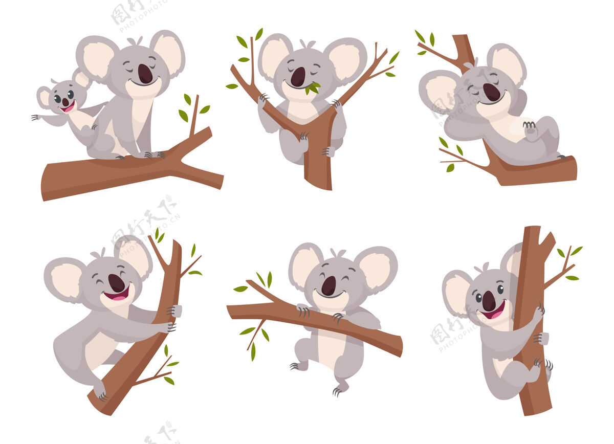 澳大利亚考拉熊.野生动物可爱的毛茸茸的动物从澳大利亚动物园字符卡通淋浴符号收集可爱考拉懒惰