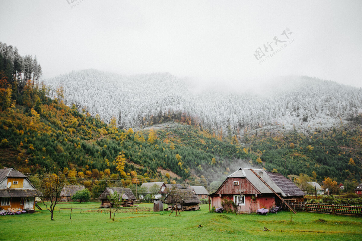 美丽森林里的村舍 山上的雾和雪很高旅行小屋自然