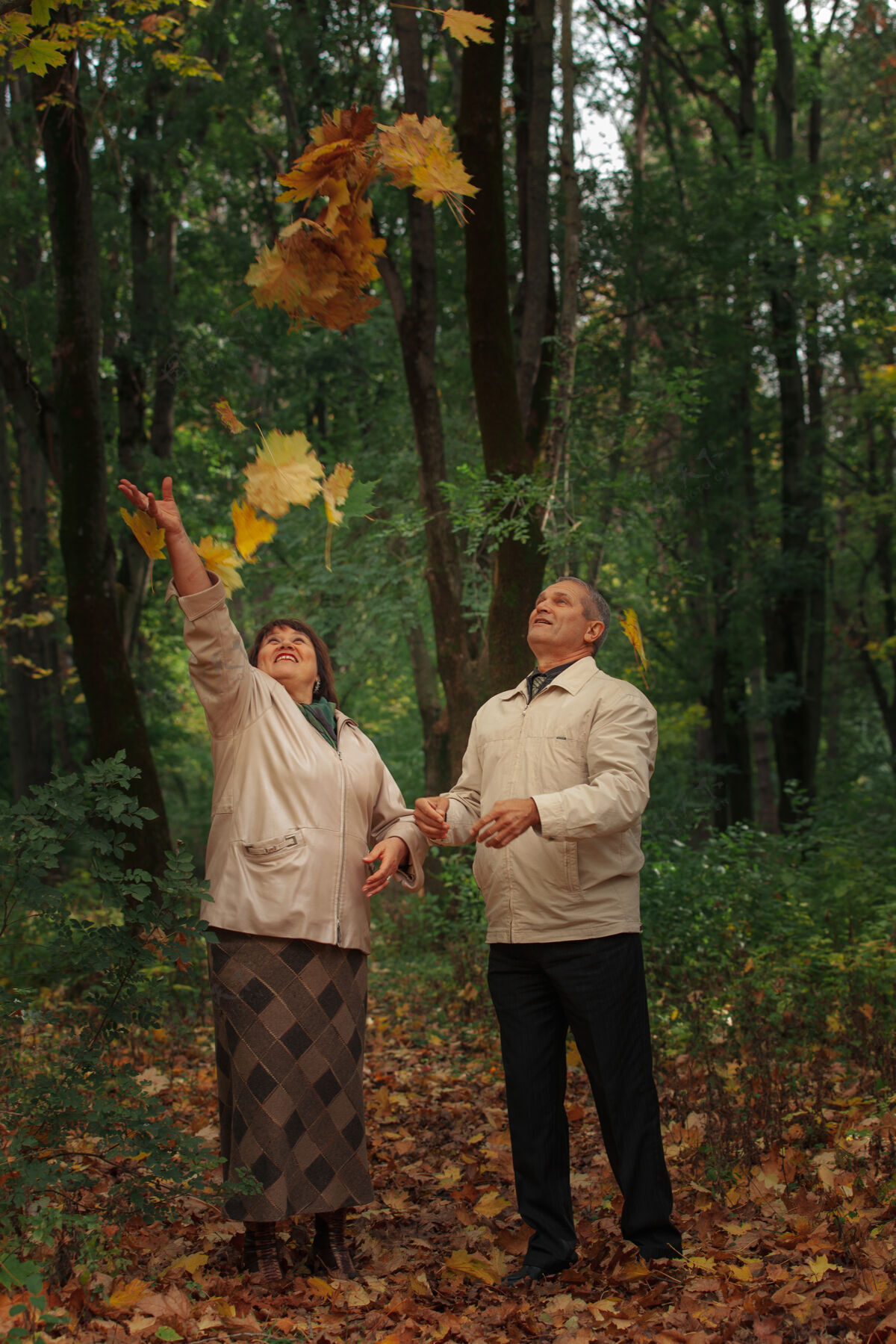 欢呼一对领养老金的夫妇在秋天的公园里散步 抛起黄叶户外秋天女人