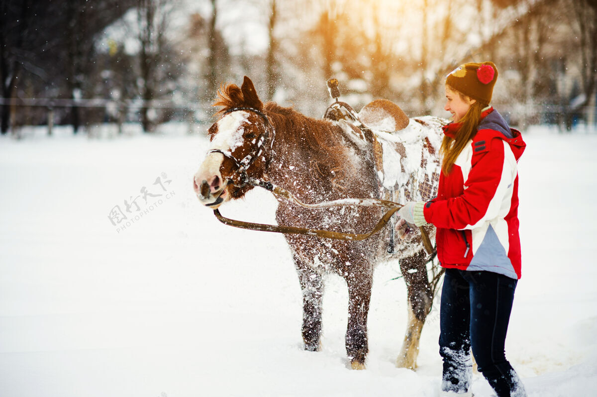 马具冬天骑马的女孩跑步马动物