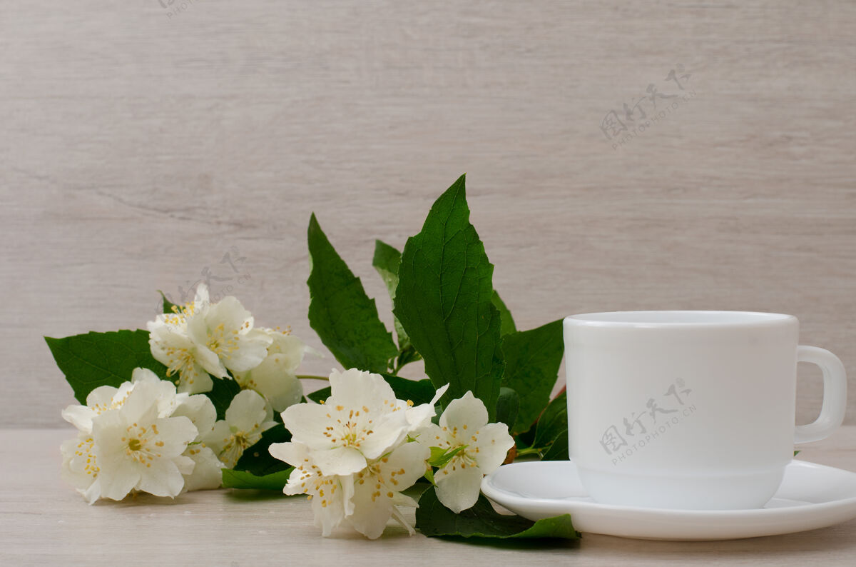 花带有茉莉花枝的白色马克杯 特写镜头有机自然杯子