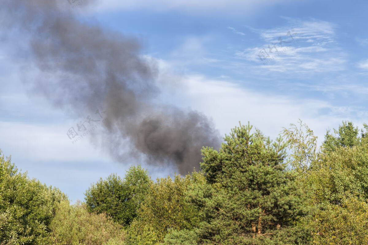 燃烧在蓝天的映衬下 燃烧着的森林树木和建筑物冒出黑烟紧急情况危险火