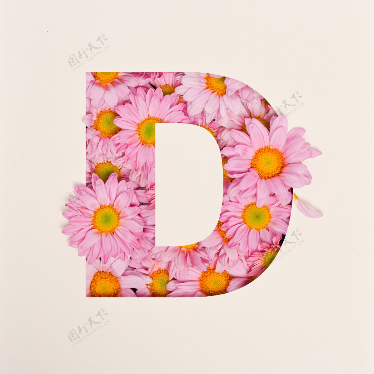 抽象字体设计 抽象字母字体与粉红色的花 现实的花卉排版-d字体排版花