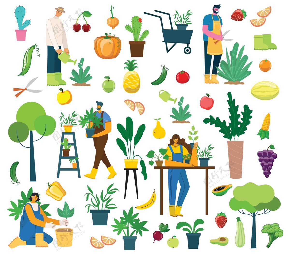 花园平面设计的有机生态食品村人插图集种植植物插图