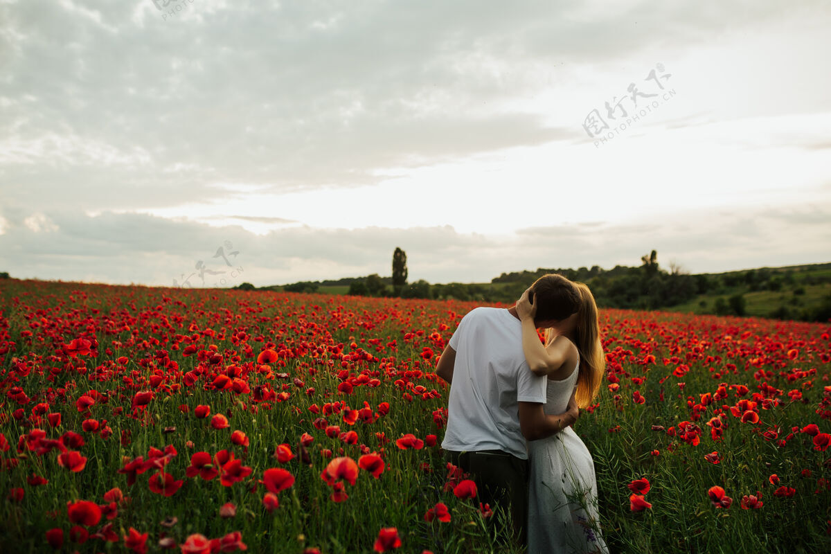服饰浪漫爱情的年轻情侣在红罂粟地拥抱示爱夜晚浪漫放松