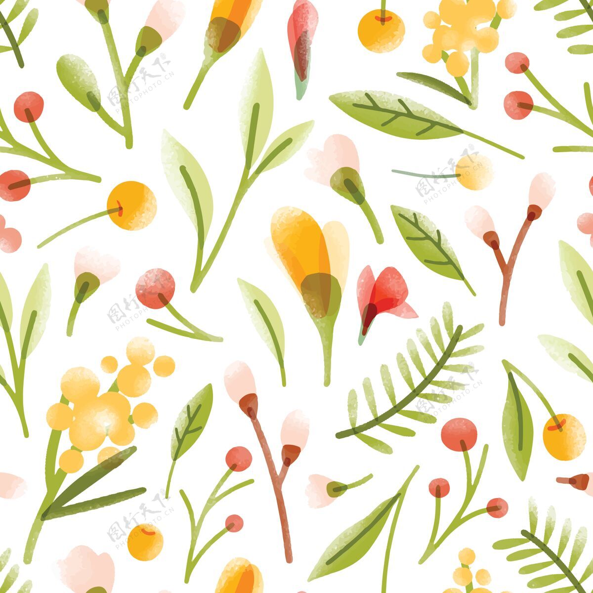 纺织品植物的无缝模式与半透明盛开夏季花朵 浆果 树叶散落在白色的背景图案传单优雅