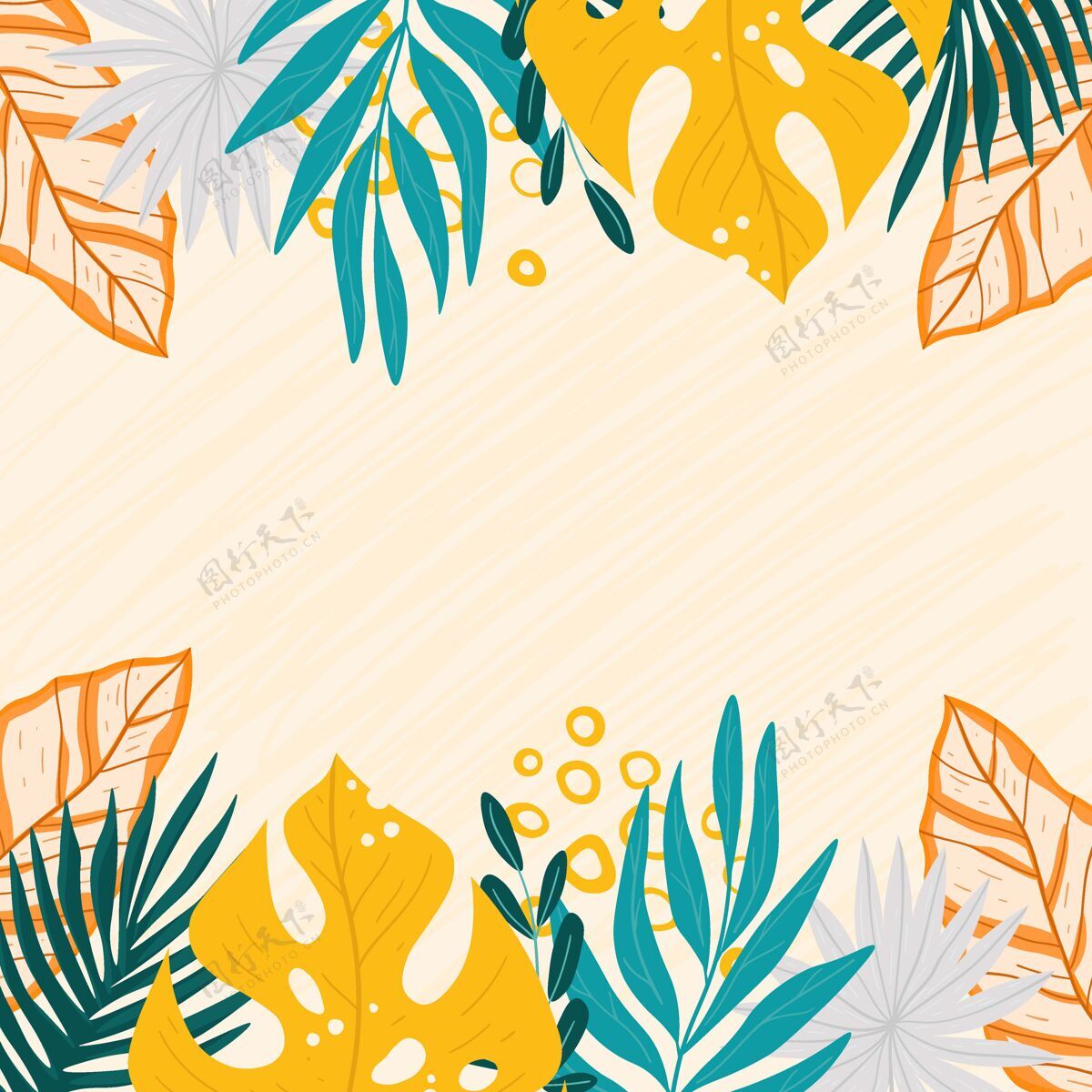 树叶热带树叶的画框棕榈气候手