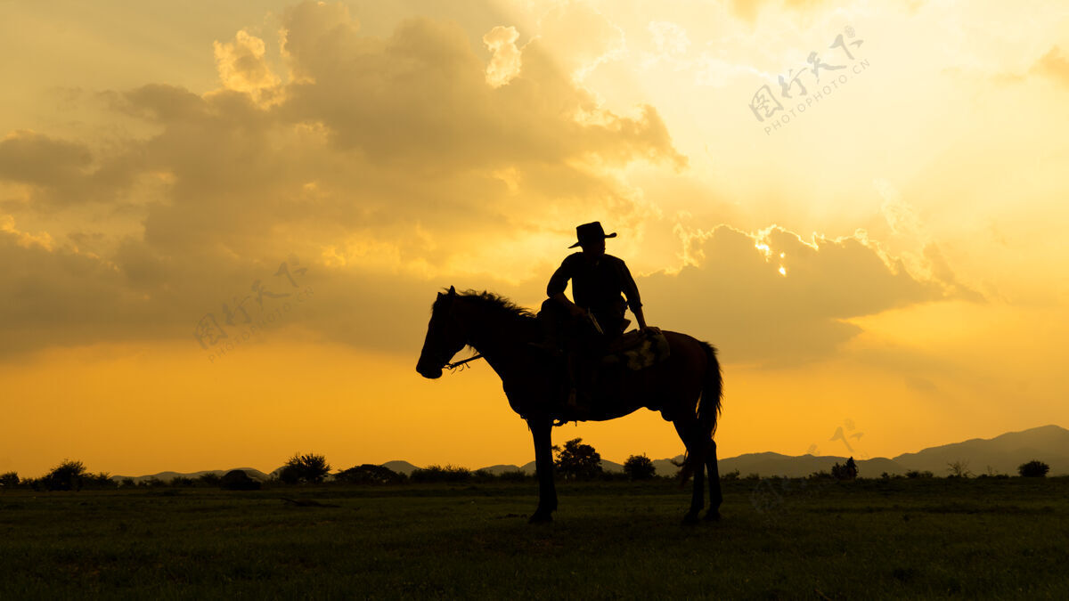 动物牛仔骑在马背上迎着美丽的日落阳光自然动作