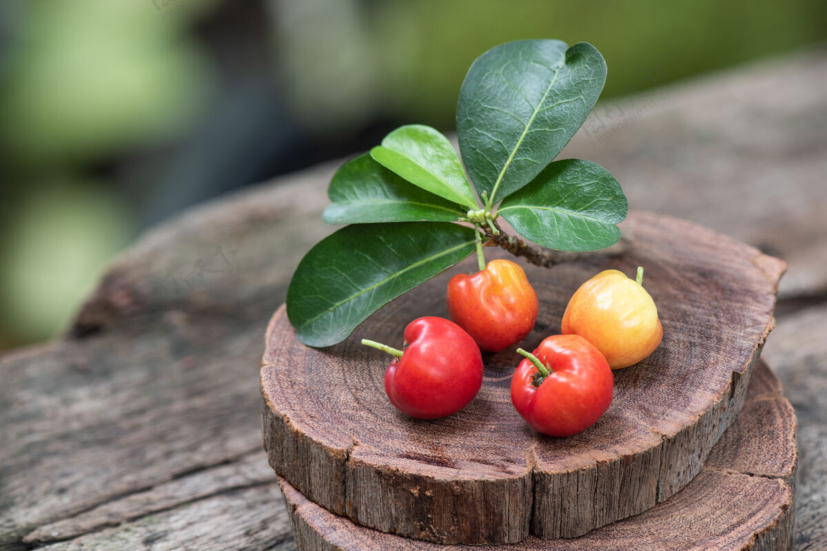 食品针叶樱桃水果对自然生长提取物酸的