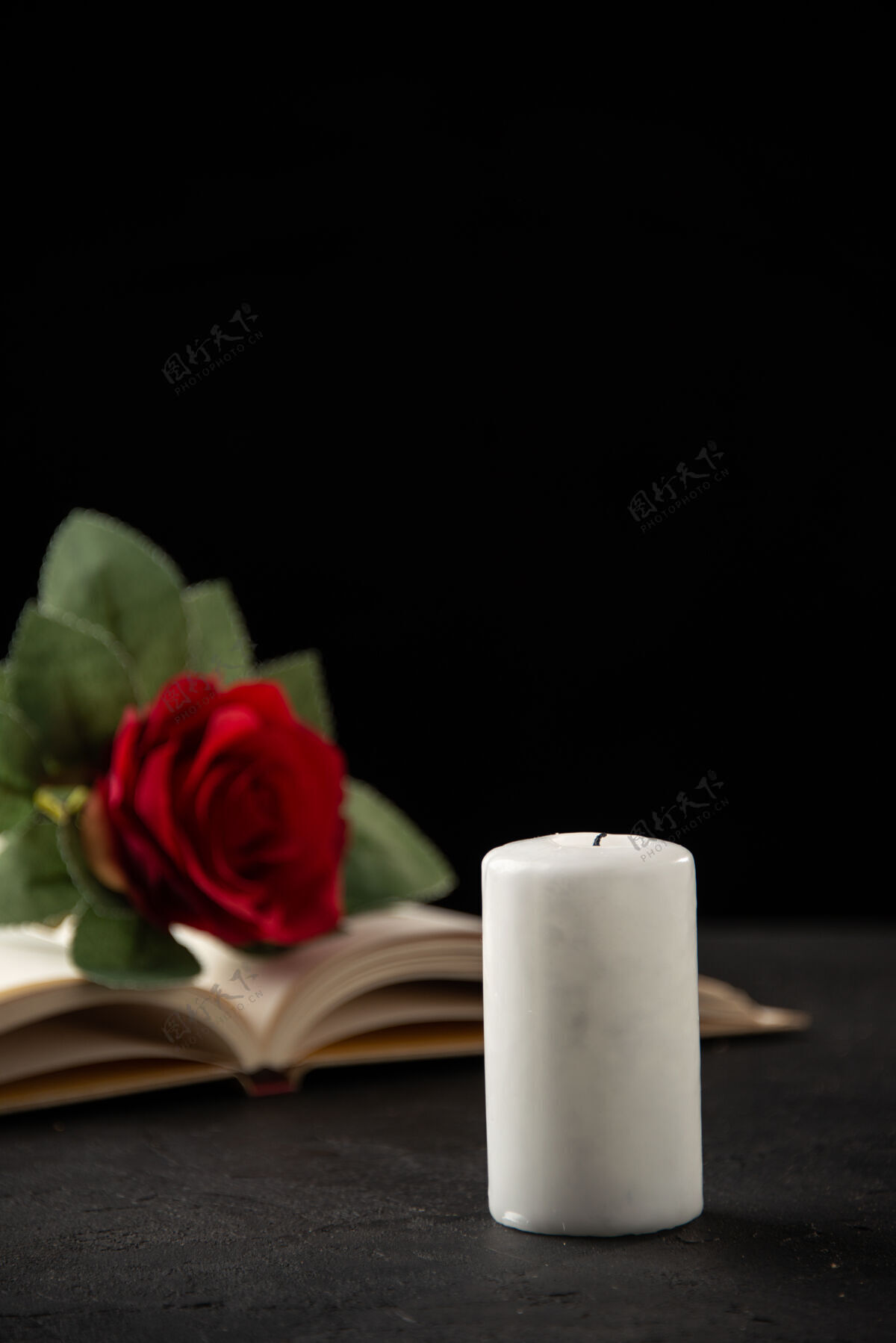 红玫瑰打开的书和蜡烛上的黑玫瑰的正面视图开放纸巾蜡烛