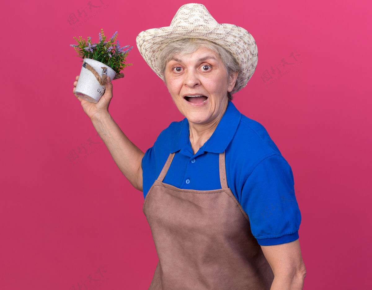 穿惊讶的上了年纪的女园丁戴着园艺帽拿着花盆手捧惊喜女