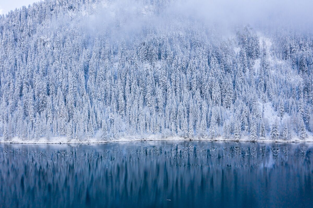 瑞士瑞士阿尔卑斯山 美丽的湖景被白雪覆盖的树木环绕冰风景风景