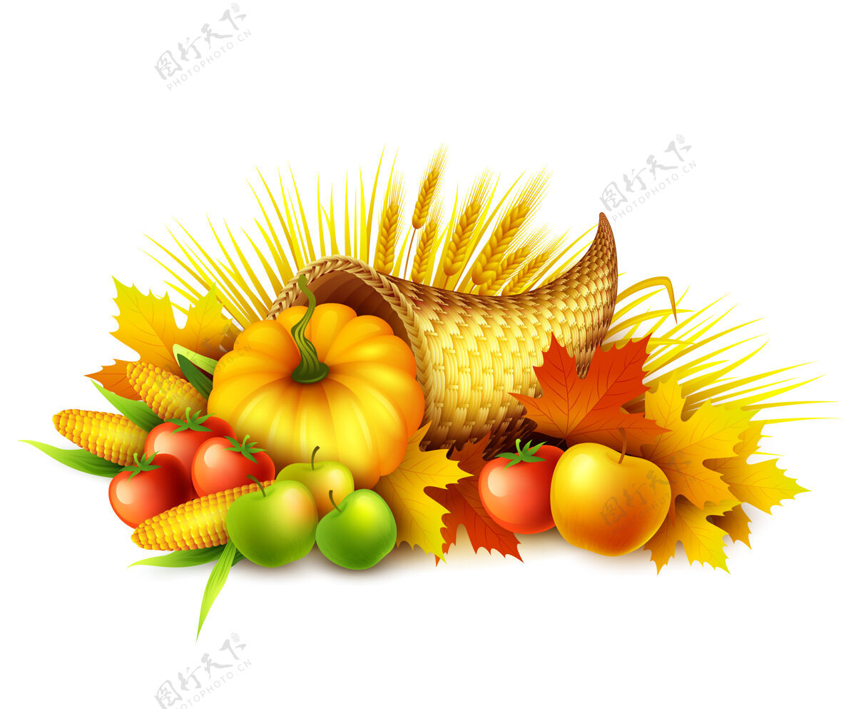 传统感恩节丰盛的丰收水果和蔬菜的插图秋天蔬菜水果