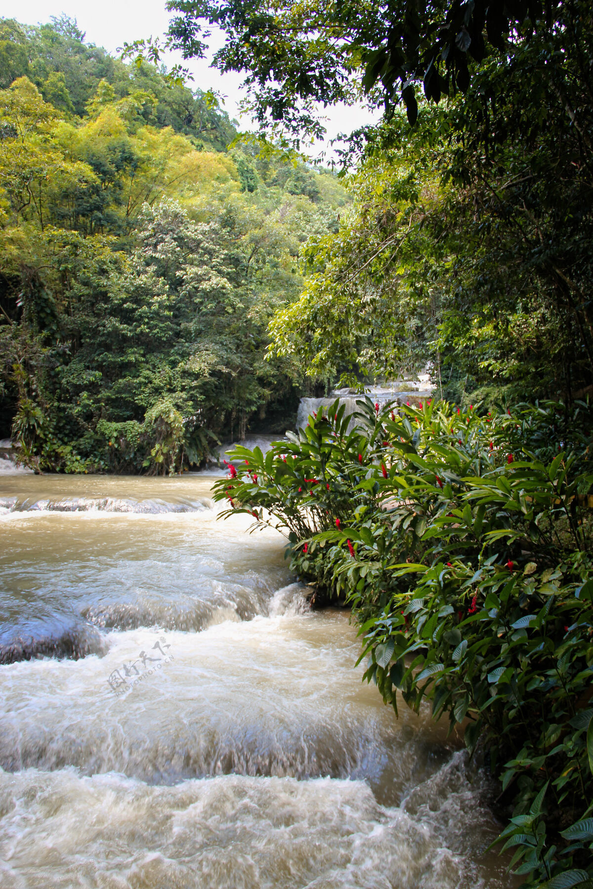 瀑布牙买加的邓恩河瀑布在邓恩河瀑布公园岛屿游泳岩石