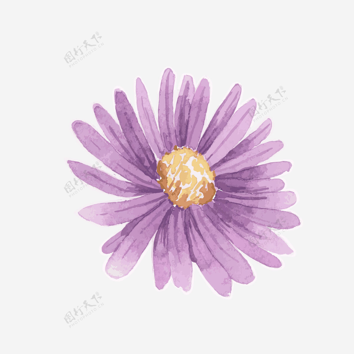花水彩紫色雏菊手绘贴纸元素植物花花