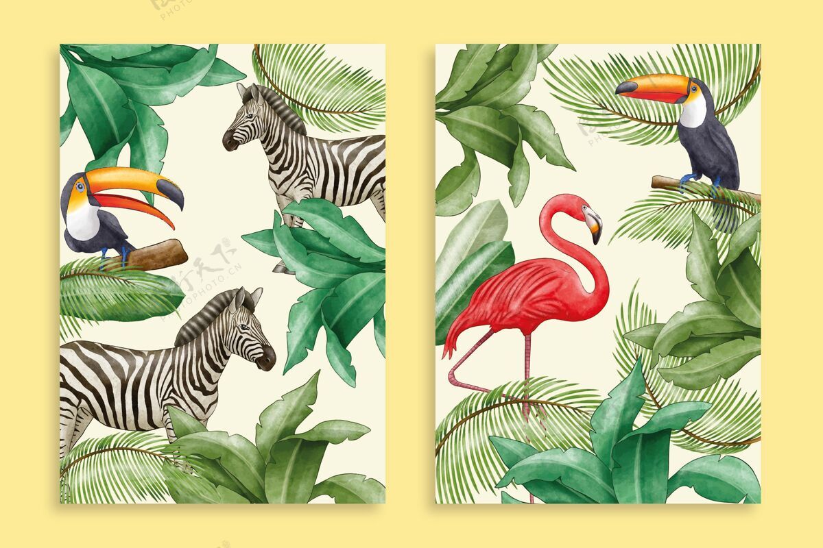 封面模板手绘水彩画野生动物封面收藏封面模板收藏野生动物封面套装