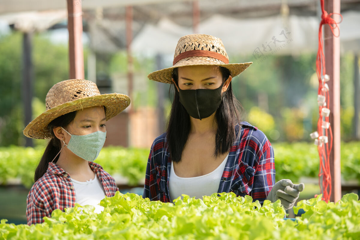 自然亚洲母女戴着口罩一起在农场里采集新鲜的水培蔬菜 家庭生活方式中家庭农业的概念园艺和儿童教育收获农场新鲜
