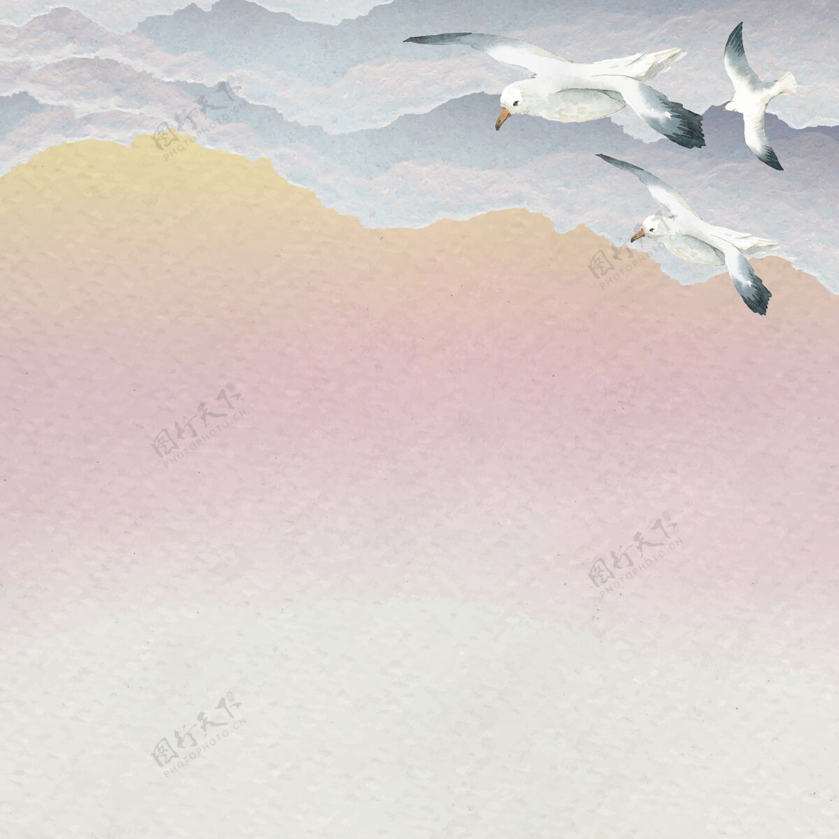 海水彩海鸥在天空中飞翔的背景日出海洋生物苍蝇