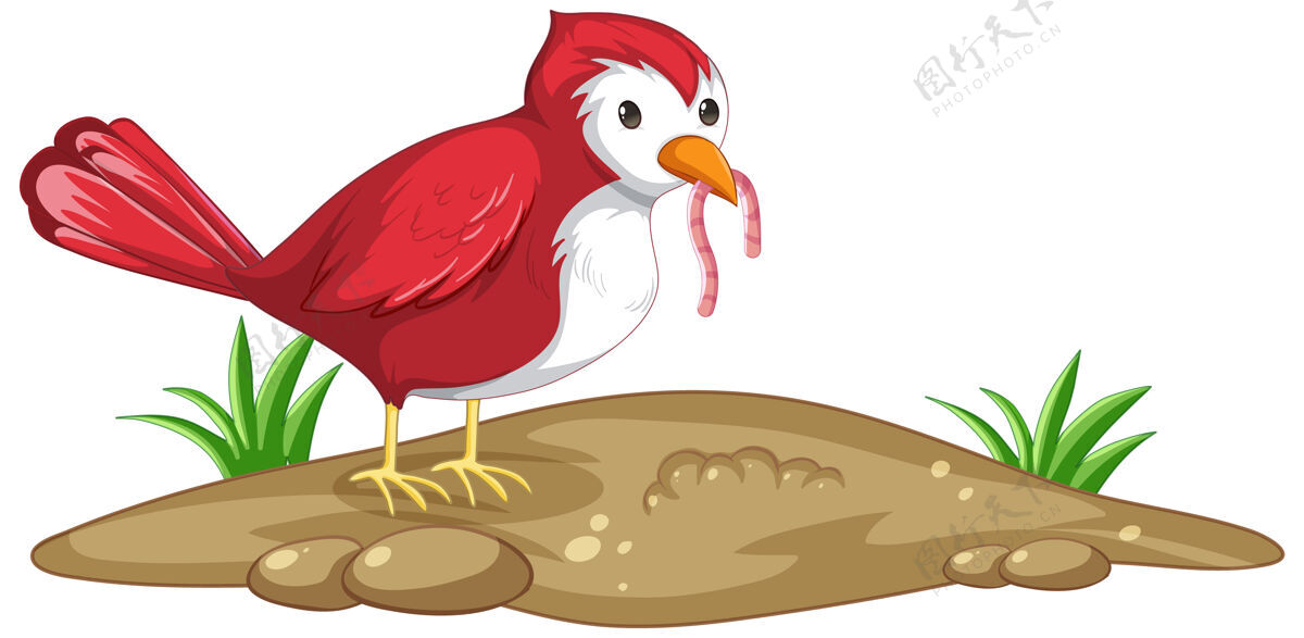 家庭一只红色的小鸟在卡通风格中捉虫子Twitter农场动物