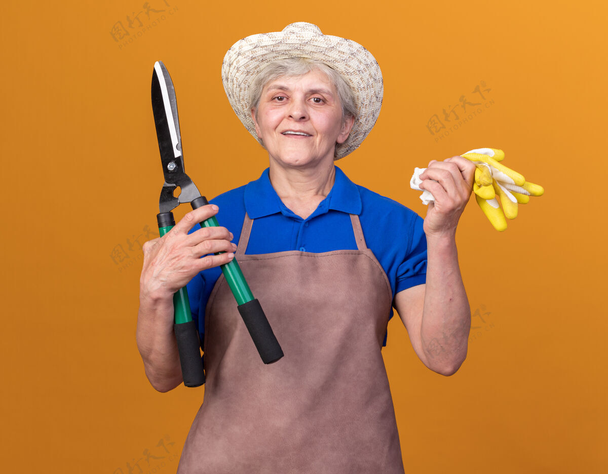 园艺高兴的上了年纪的女园丁戴着园艺帽拿着园艺剪刀和手套上了橘子花园剪刀老人