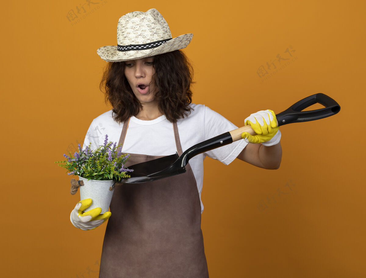 年轻穿着制服的年轻女园丁惊讶地戴着园艺帽和手套 手里拿着花盆里的花 把铲子孤立在橘子上花橘子穿
