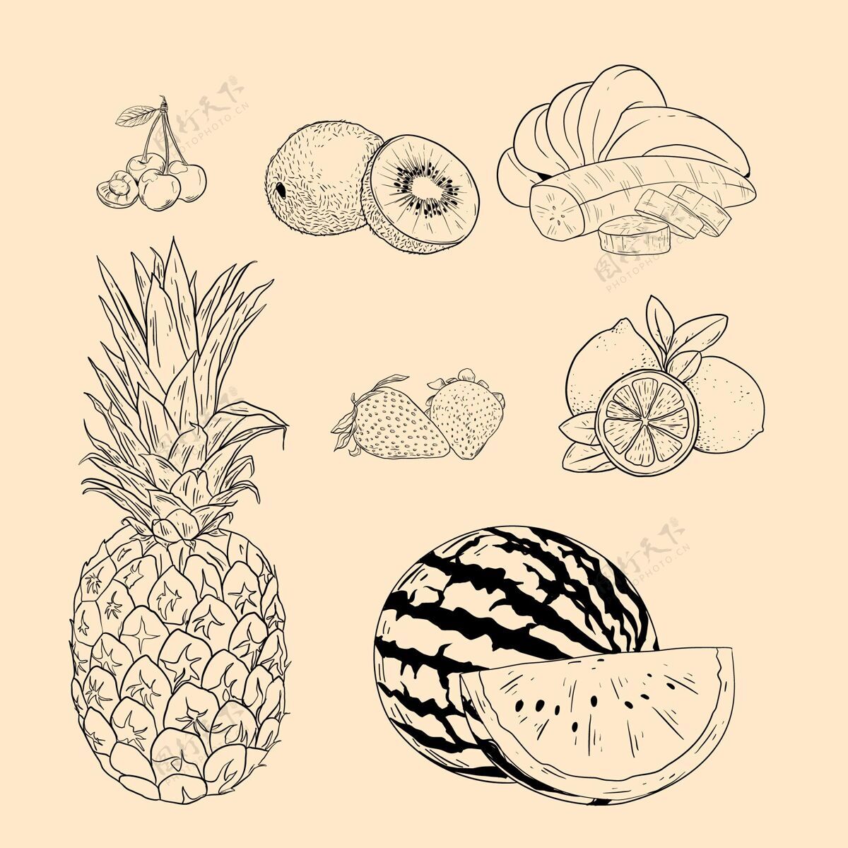 水果包装手绘水果系列手绘水果收藏美味
