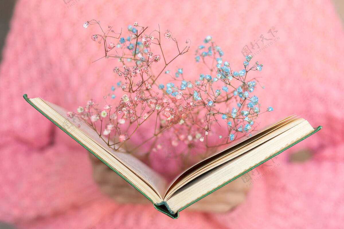 成人一个女人手里拿着一本打开的书 里面放着一束干花花休闲白天