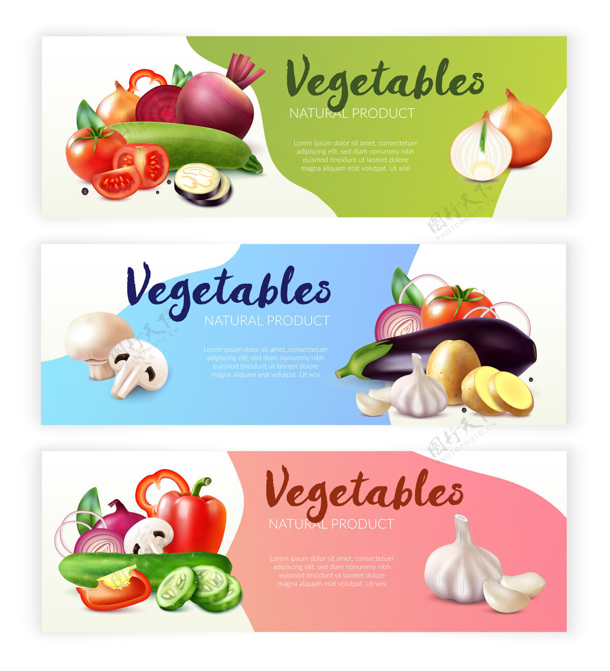 横幅现实蔬菜横幅收集与成熟的水果和可编辑的文本切片三个组成部分收藏横幅蔬菜