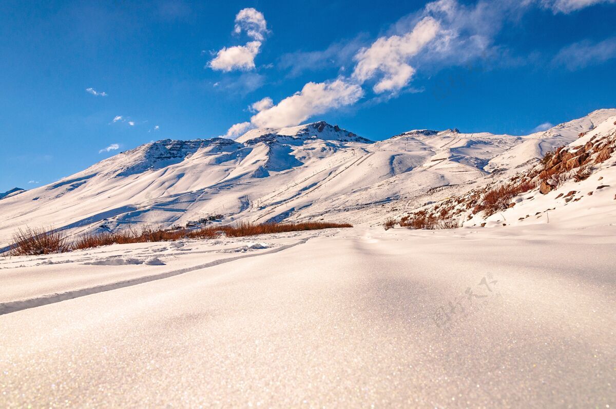 树美丽的低角度拍摄的一个惊人的山区景色覆盖在雪地安第斯山脉科迪勒拉景观徒步旅行冰