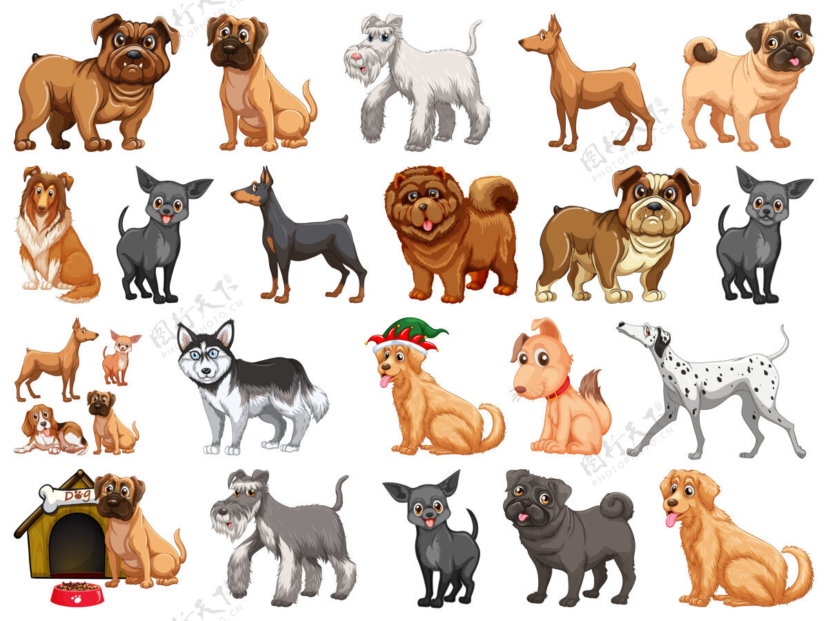 动物群不同的卡通风格有趣的狗隔离在白色背景上卡通哈巴狗金色