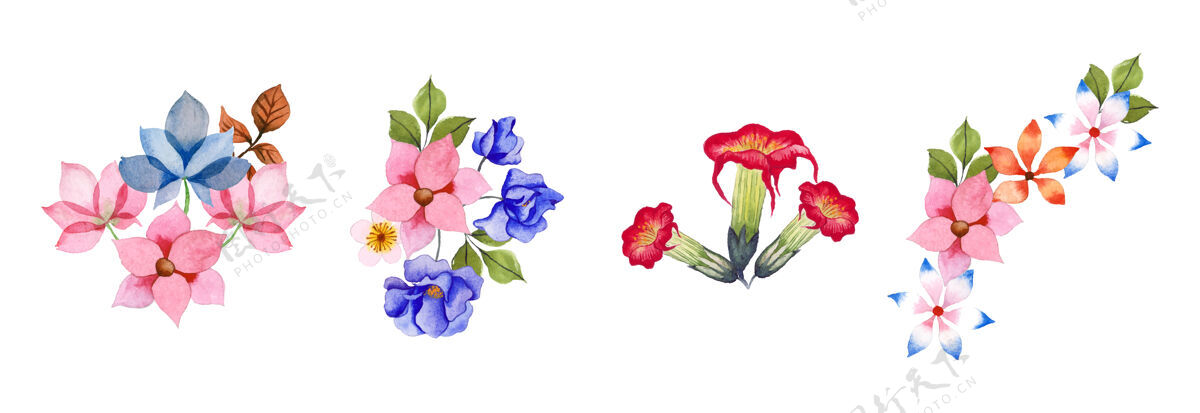 手工制作手绘水彩花卉艺术套装树叶花卉绘画