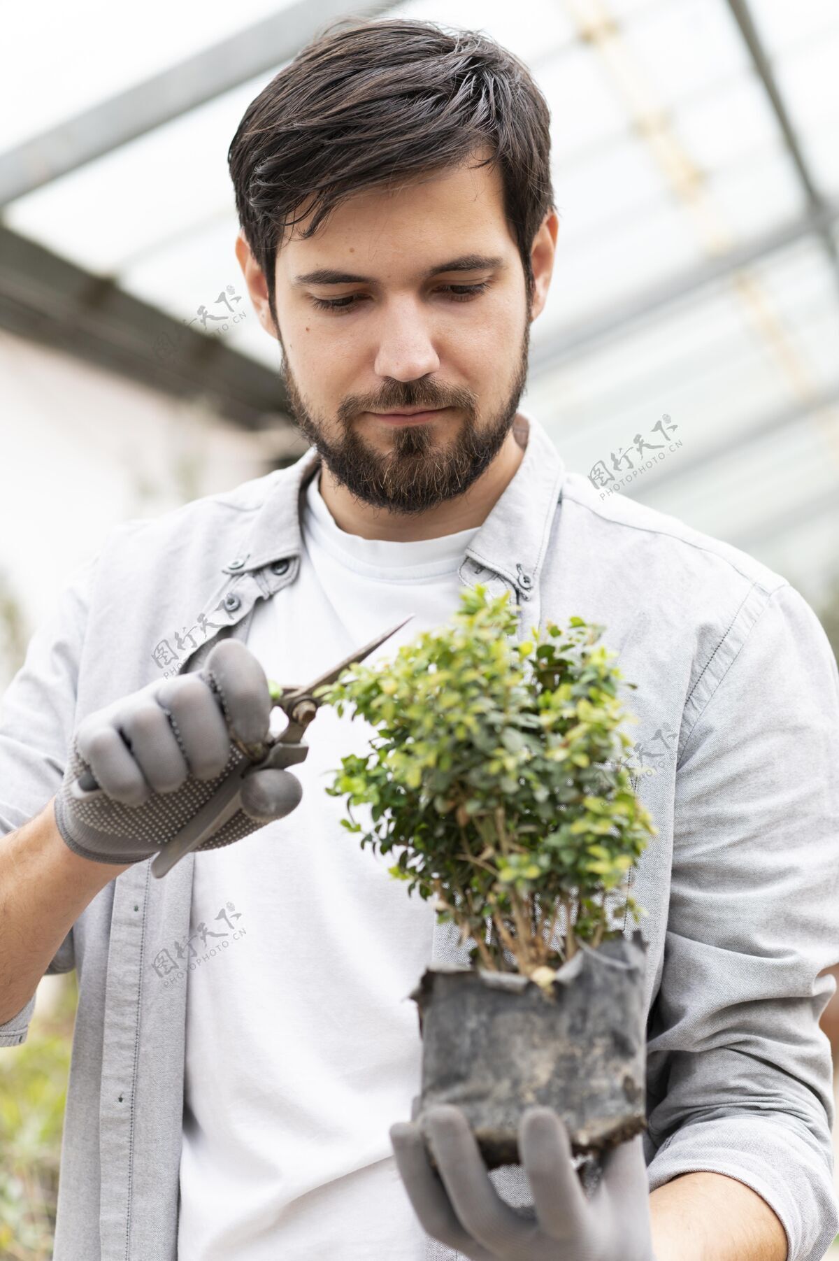 环境肖像人种植植物环境护理雄性
