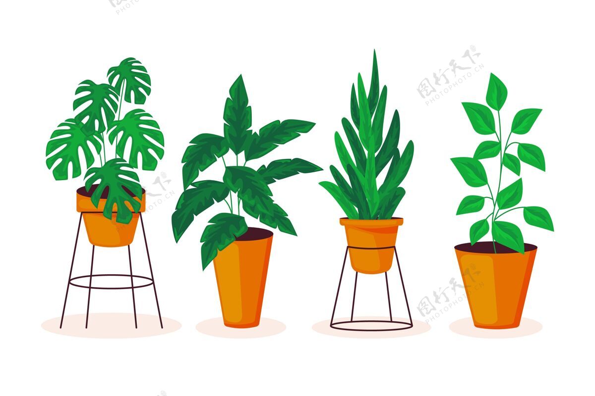 平坦设计有机平面室内植物系列有机蔬菜室内植物收集
