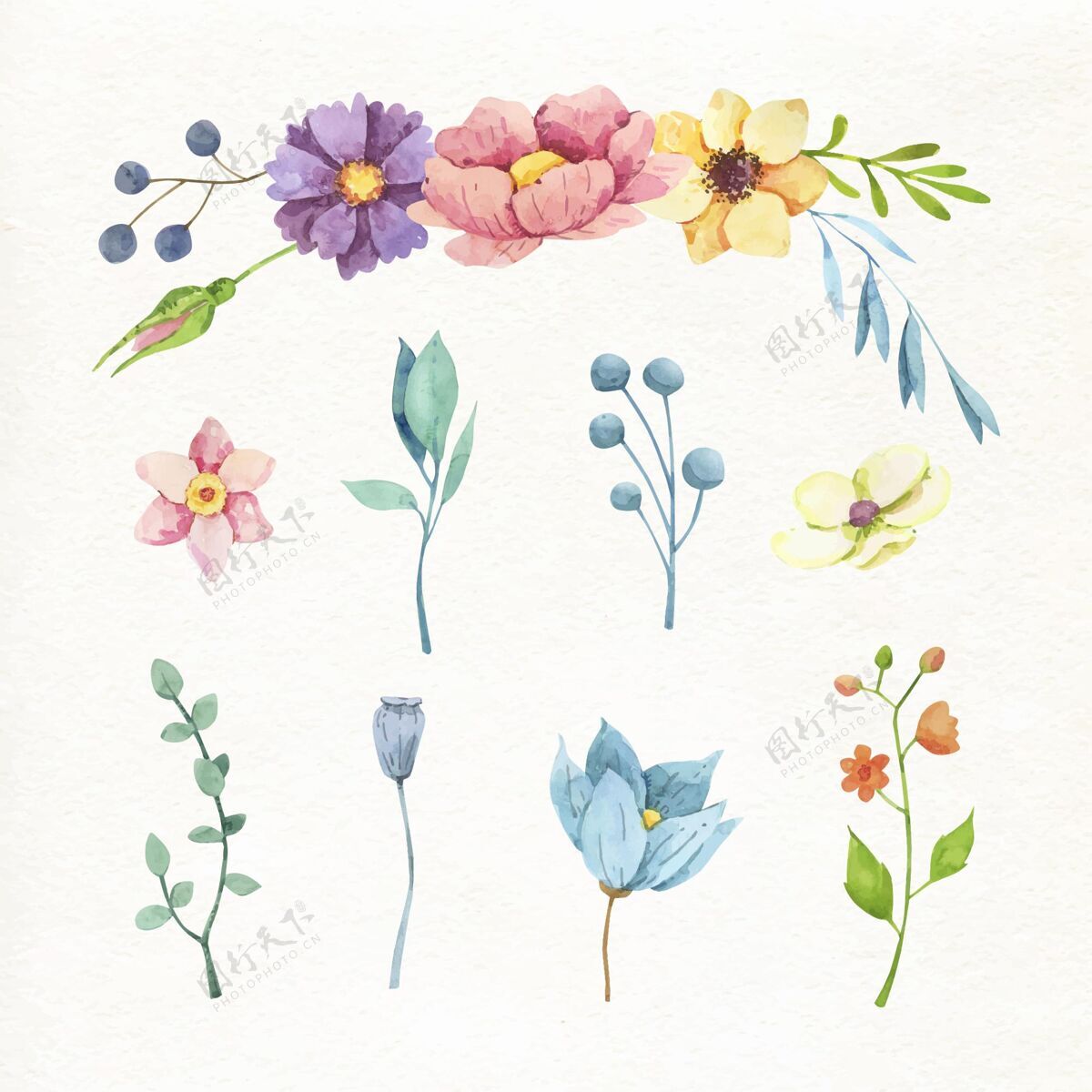 手绘手绘水彩花卉收藏分类花卉套装花卉